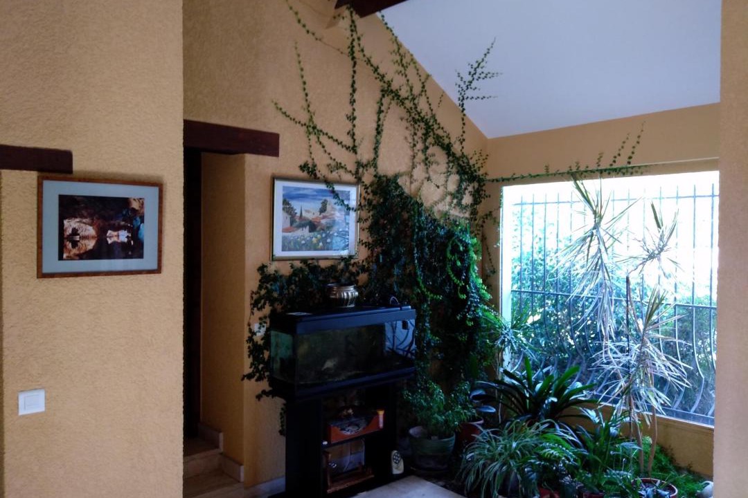 Photo of Others in Courtenay