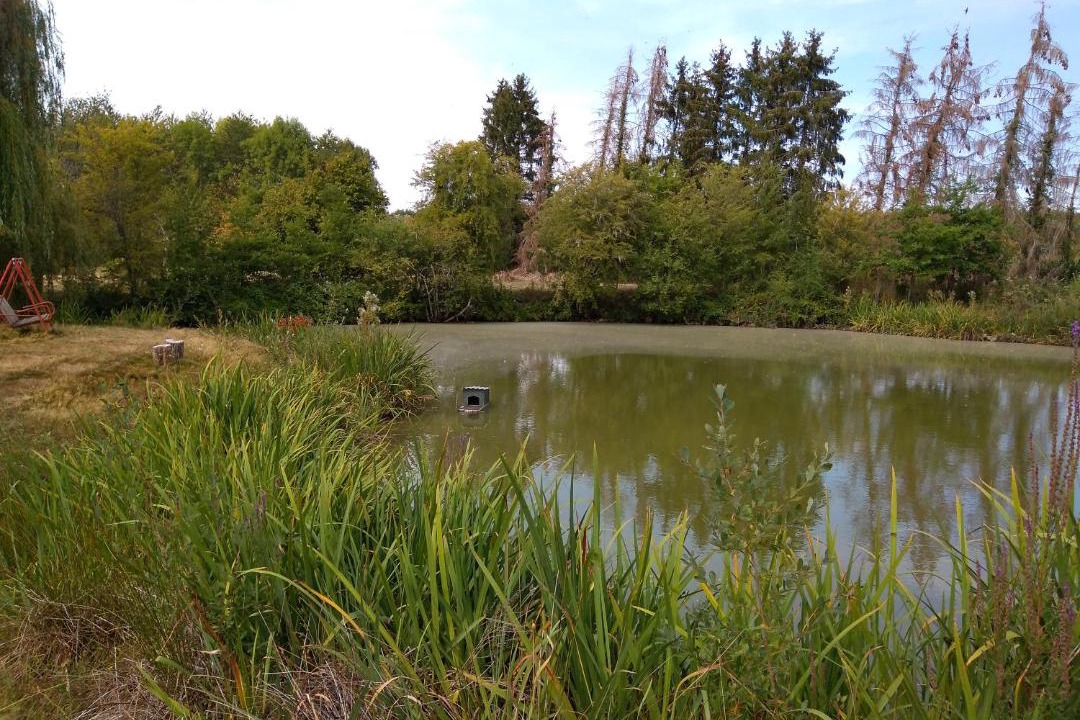 Photo of Others in Courtenay