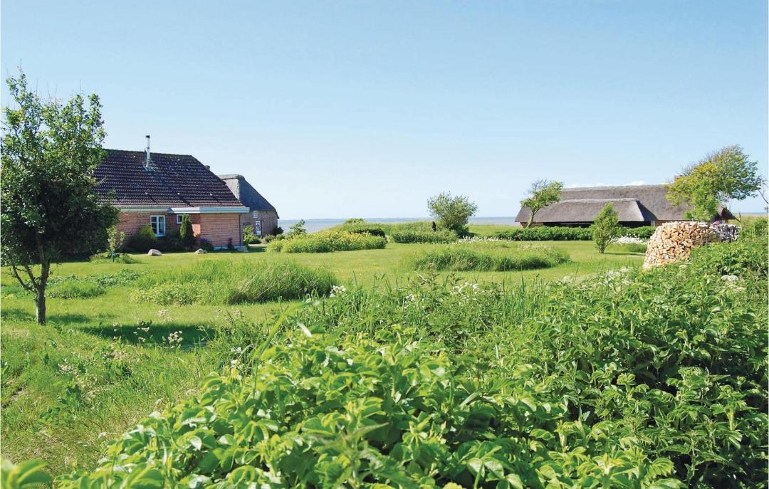 Photo of Others in Ballum