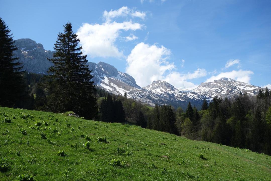 Photo of Others in Villard-de-Lans