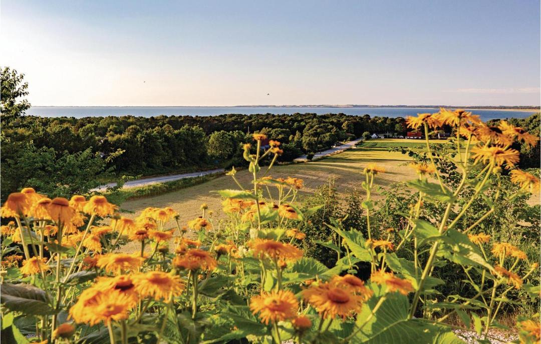 Photo of Outdoor in Hoeve Strand