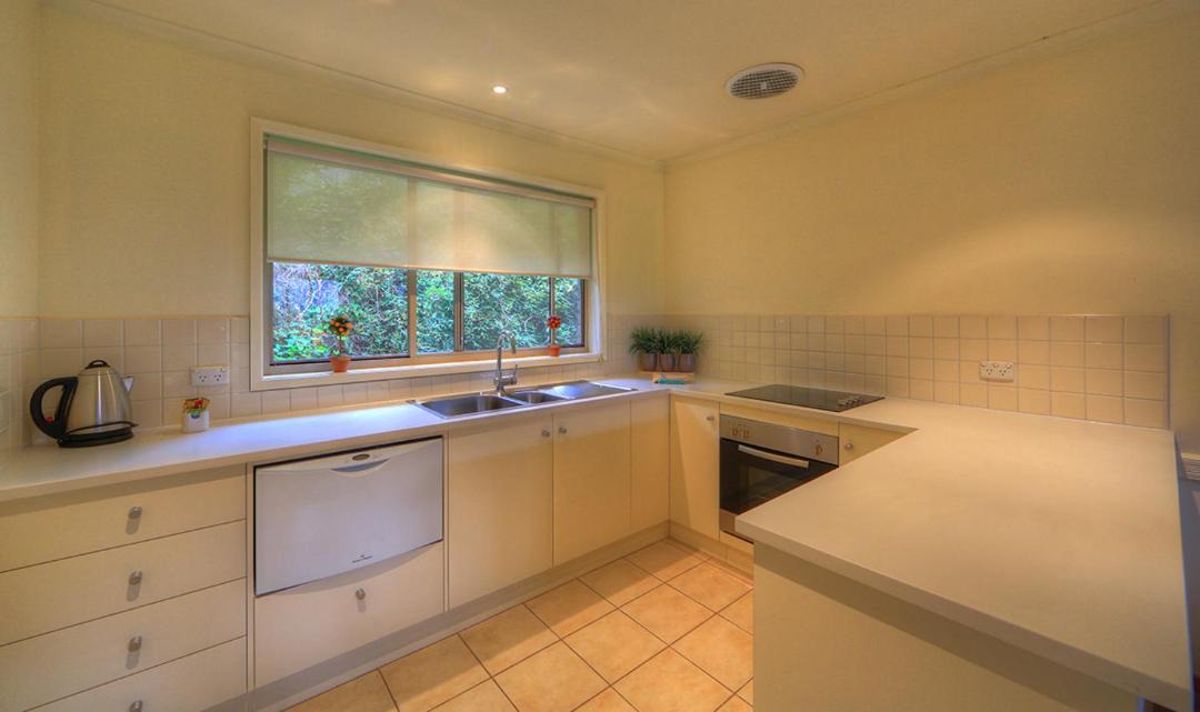 Photo of Others in Bright