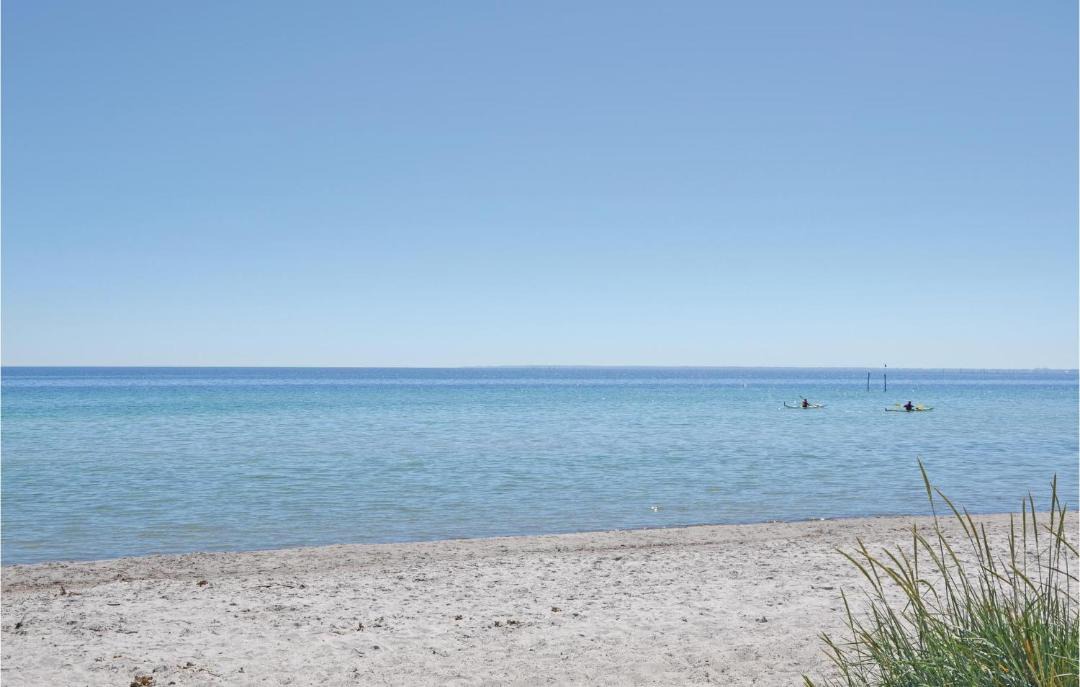 Photo of Others in Solrod Strand