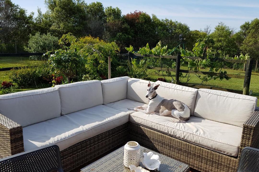 Photo of Patio Balcony in Kerikeri