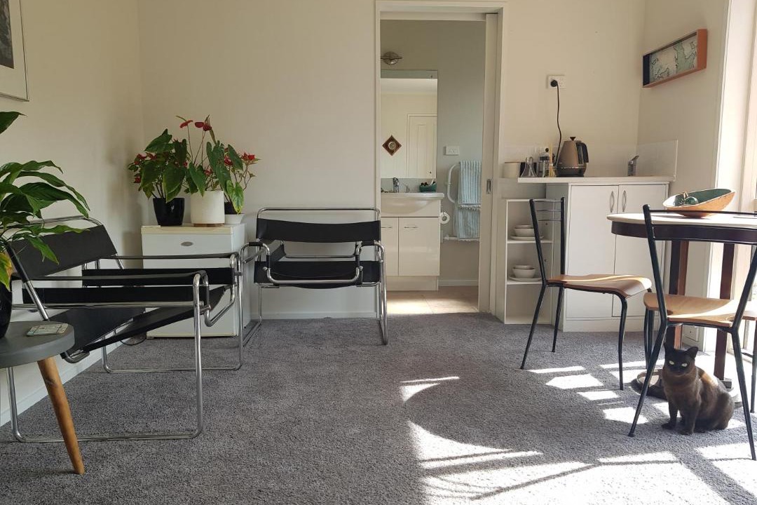 Photo of Livingroom in Kerikeri