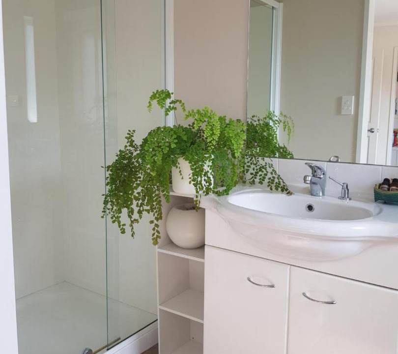 Photo of Others in Kerikeri