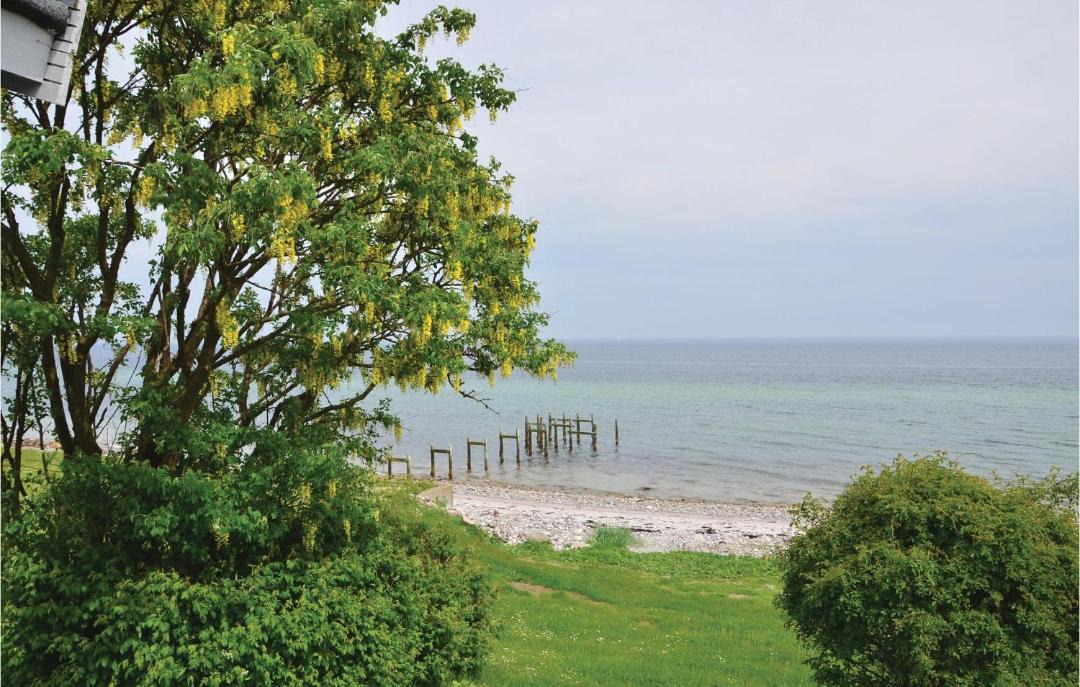 Photo of Others in Nyborg