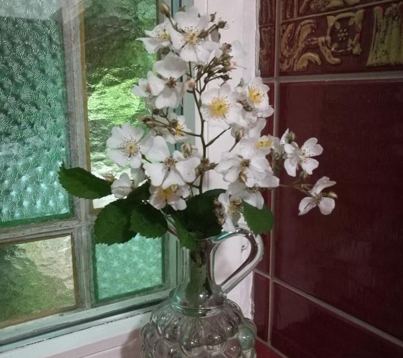 Photo of Others in Borre