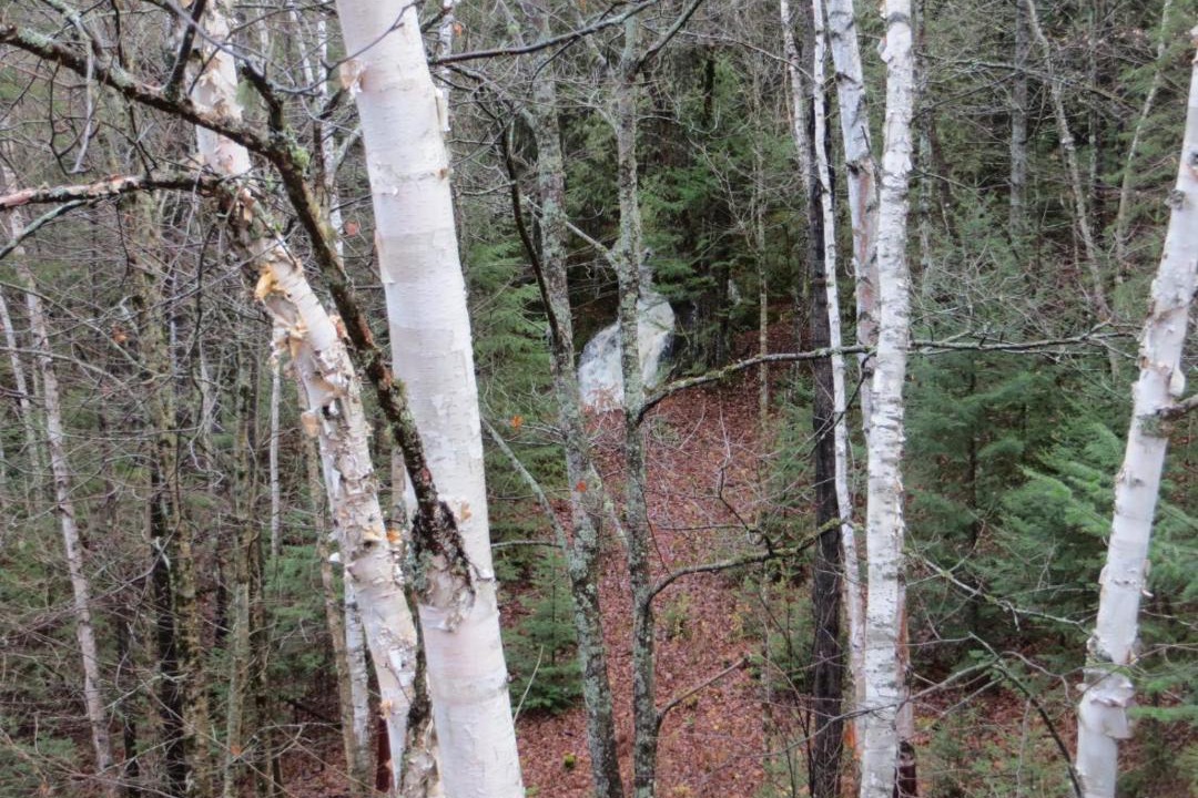 Photo of Others in Saint-Roch-de-Mekinac
