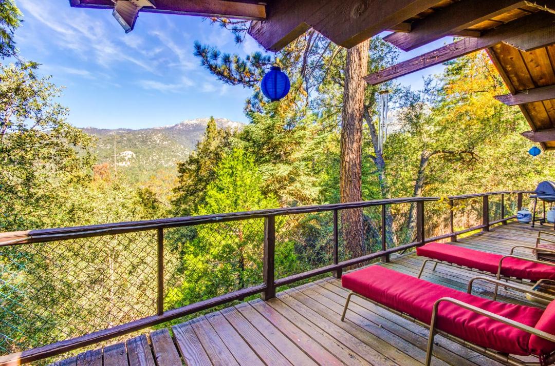 Photo of Others in Idyllwild