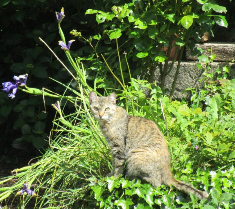 Photo of Outdoor in Kergonan