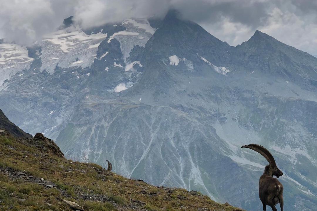 Photo of Outdoor in Meribel