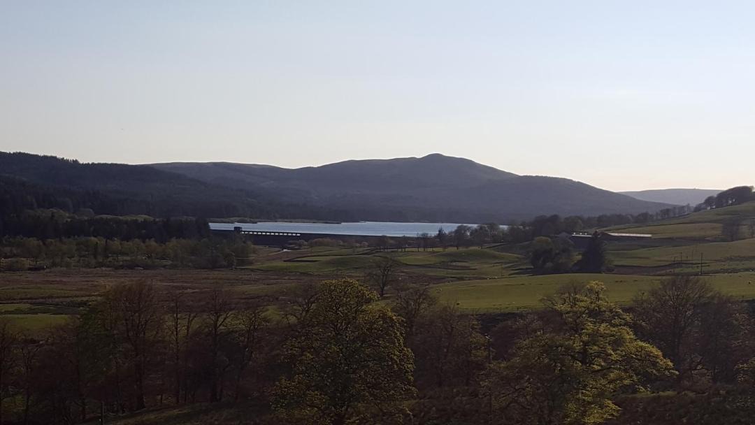 Photo of Others in Denny