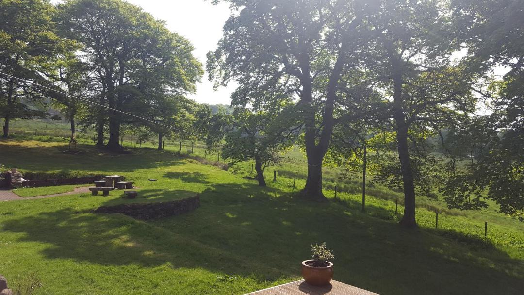 Photo of Others in Denny