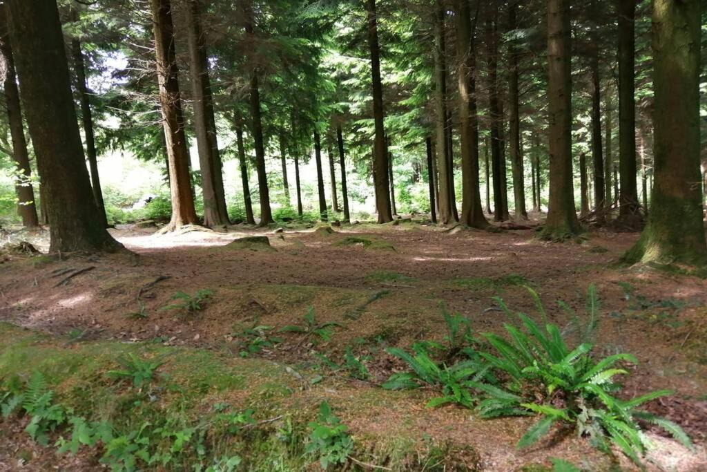 Photo of Others in Grampound