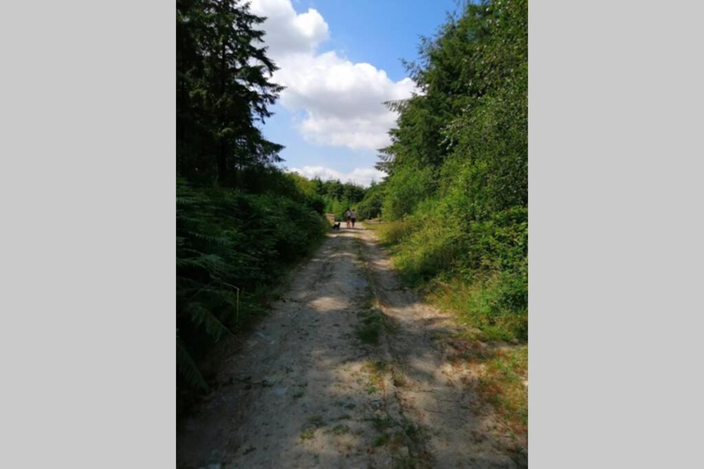 Photo of Others in Grampound