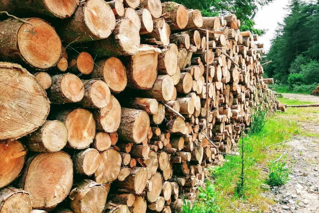 Photo of Others in Grampound