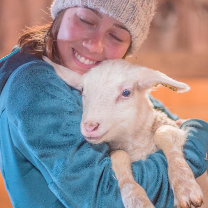 Photo of Others in Hartland Four Corners