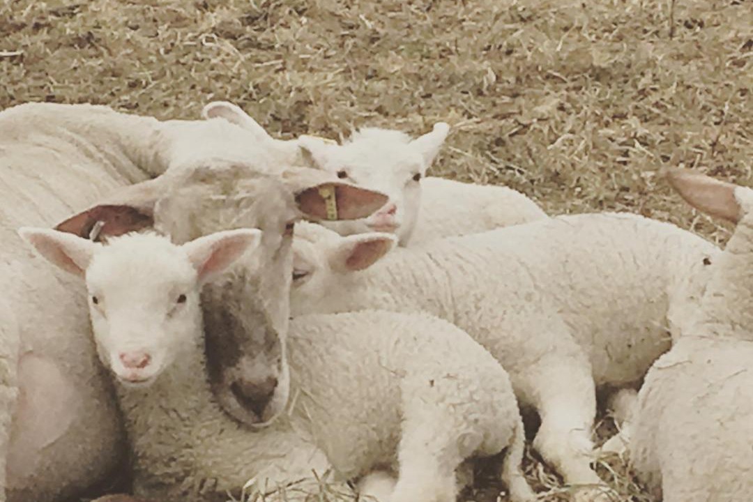 Photo of Others in Hartland Four Corners