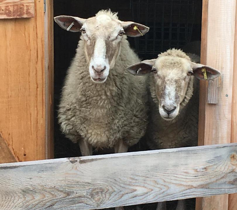 Photo of Others in Hartland Four Corners