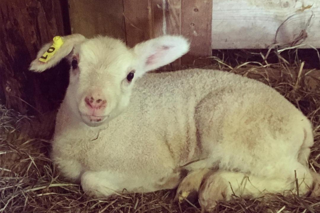 Photo of Others in Hartland Four Corners