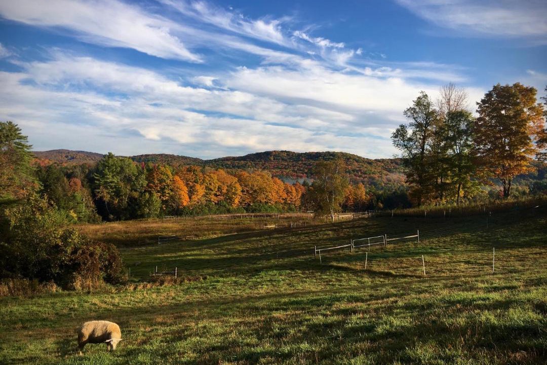 Photo of Others in Hartland Four Corners