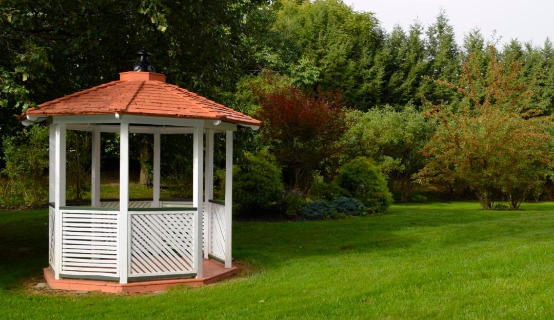 Photo of Others in Sayre