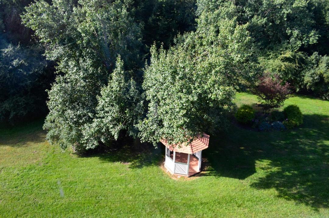 Photo of Others in Sayre