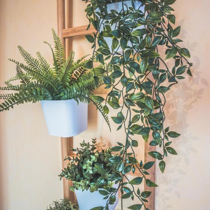 Photo of Others in Ychoux