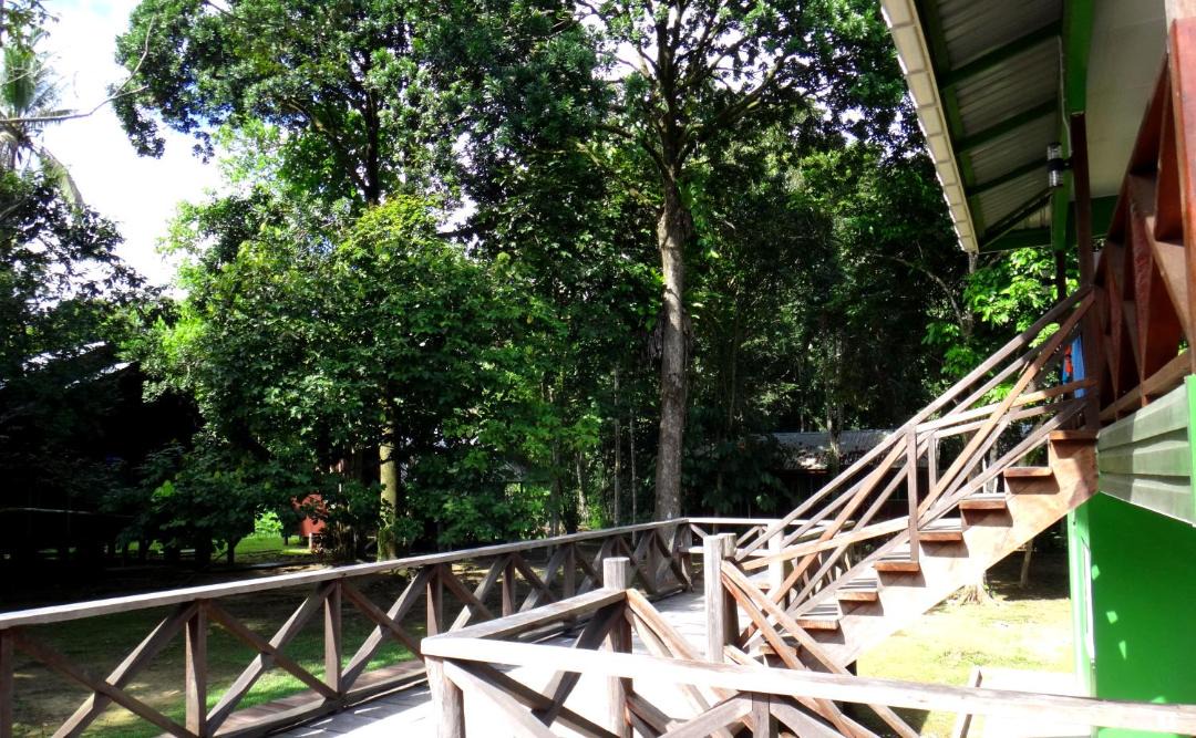 Photo of Others in Sukau