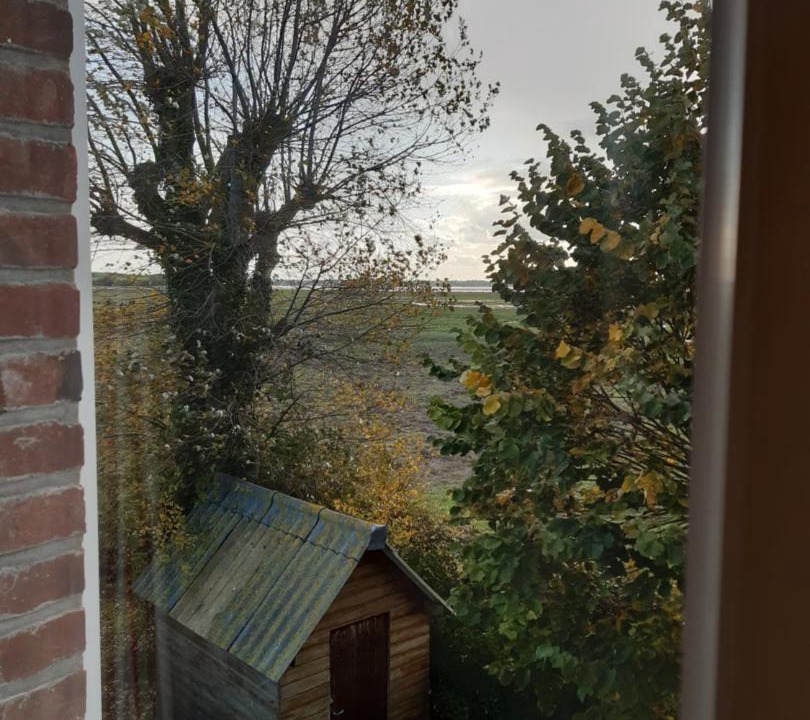 Photo of Others in Vains