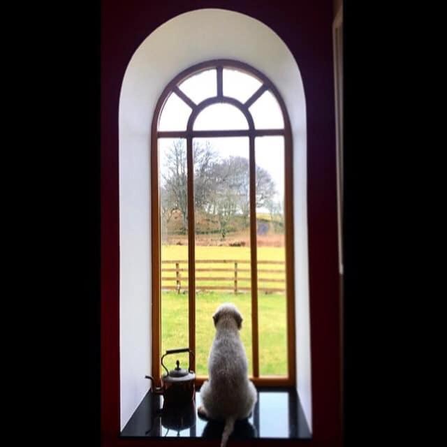 Photo of Others in Kirriemuir