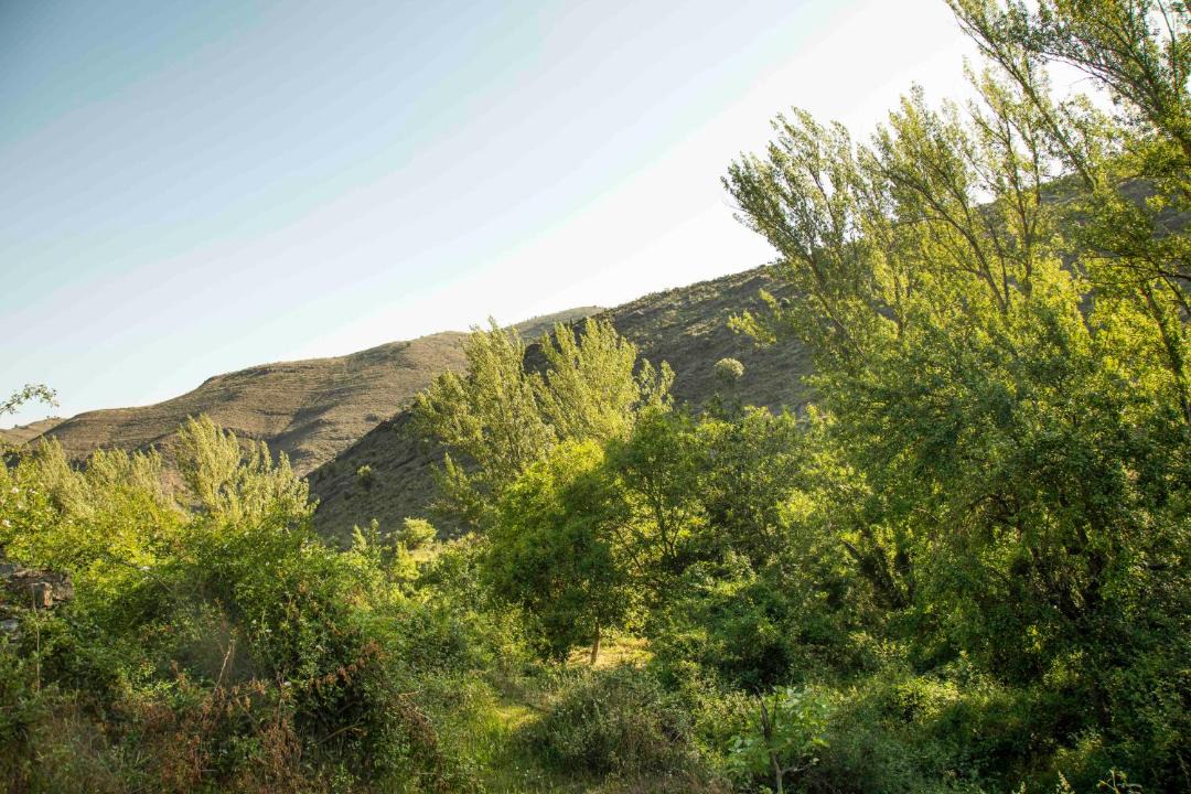 Photo of Others in Poyales