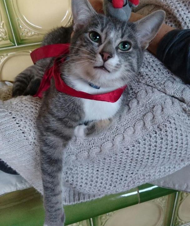 Photo of Patio Balcony in Mur-de-Barrez