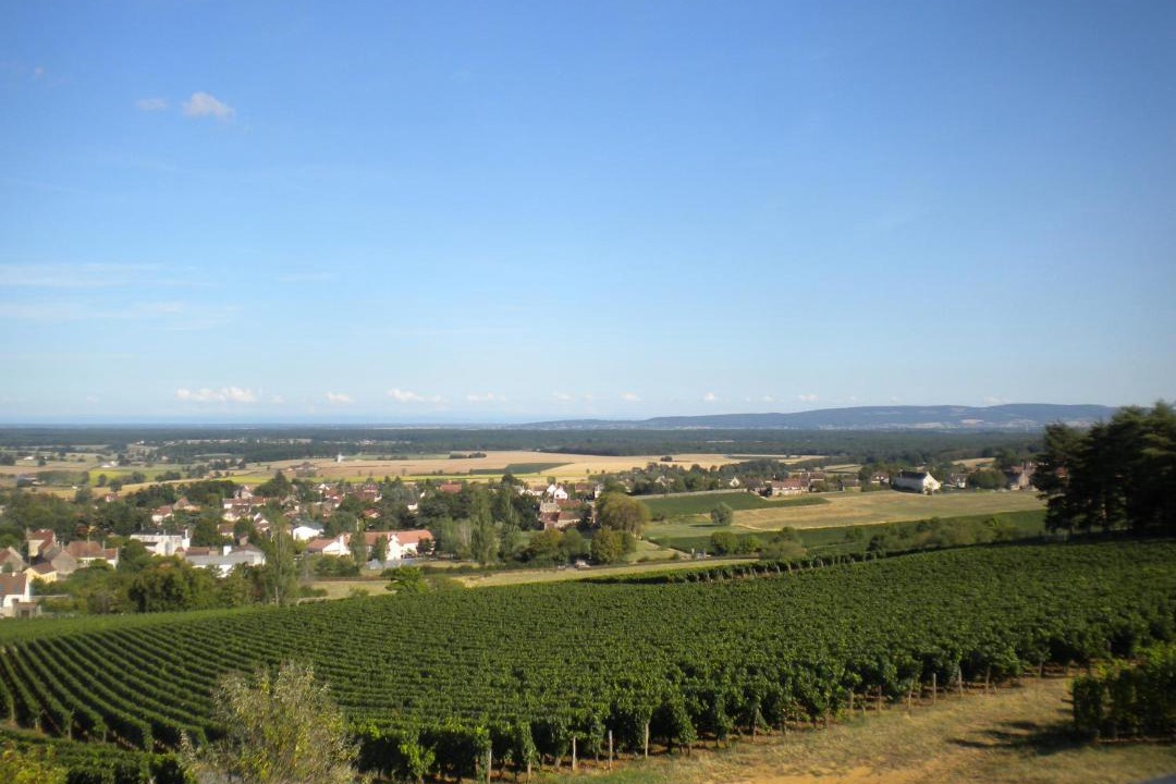 Photo of Outdoor in Buxy