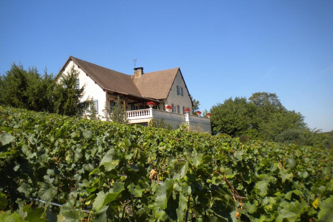 Photo of Buildings in Buxy