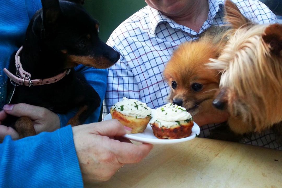 Photo of Human In Picture in Friday Harbor