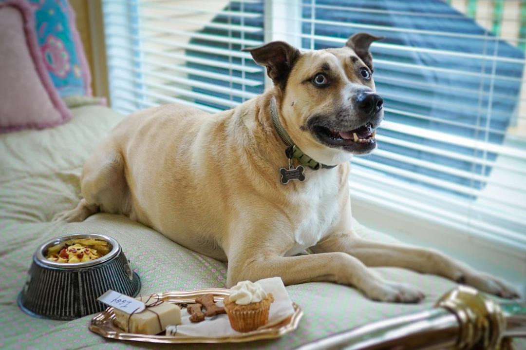 Photo of Human In Picture in Friday Harbor