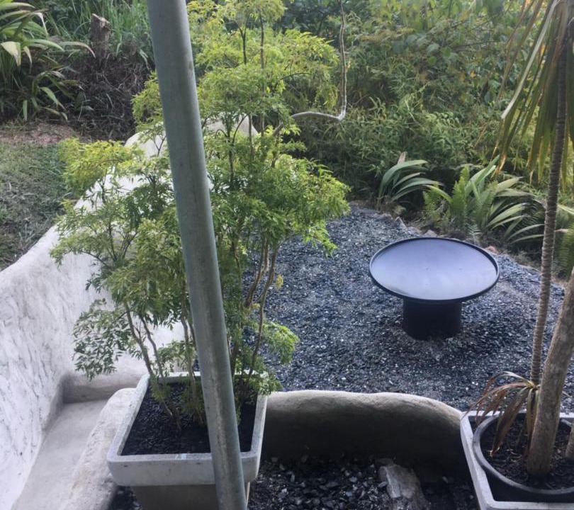 Photo of Others in Cow Bay