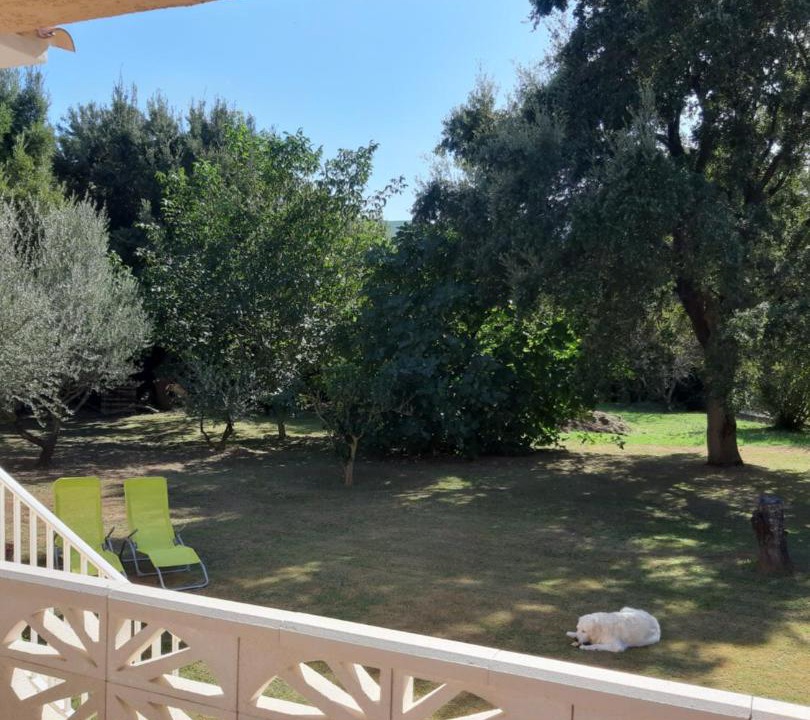 Photo of Others in Pietracorbara