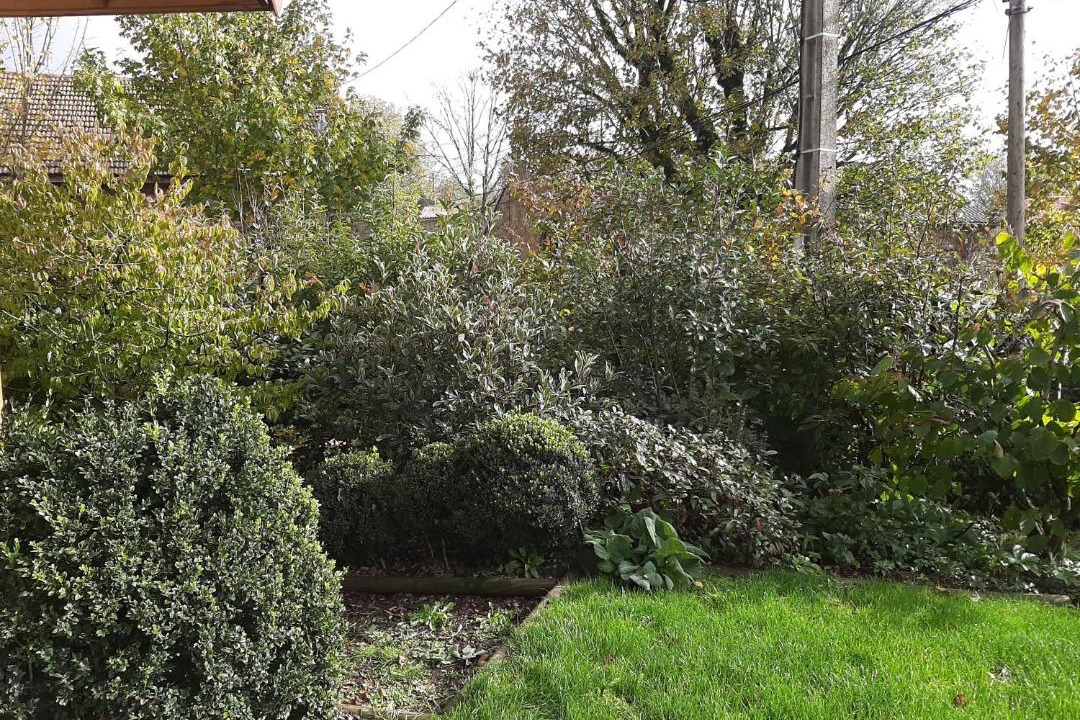 Photo of Outdoor in Lachaux