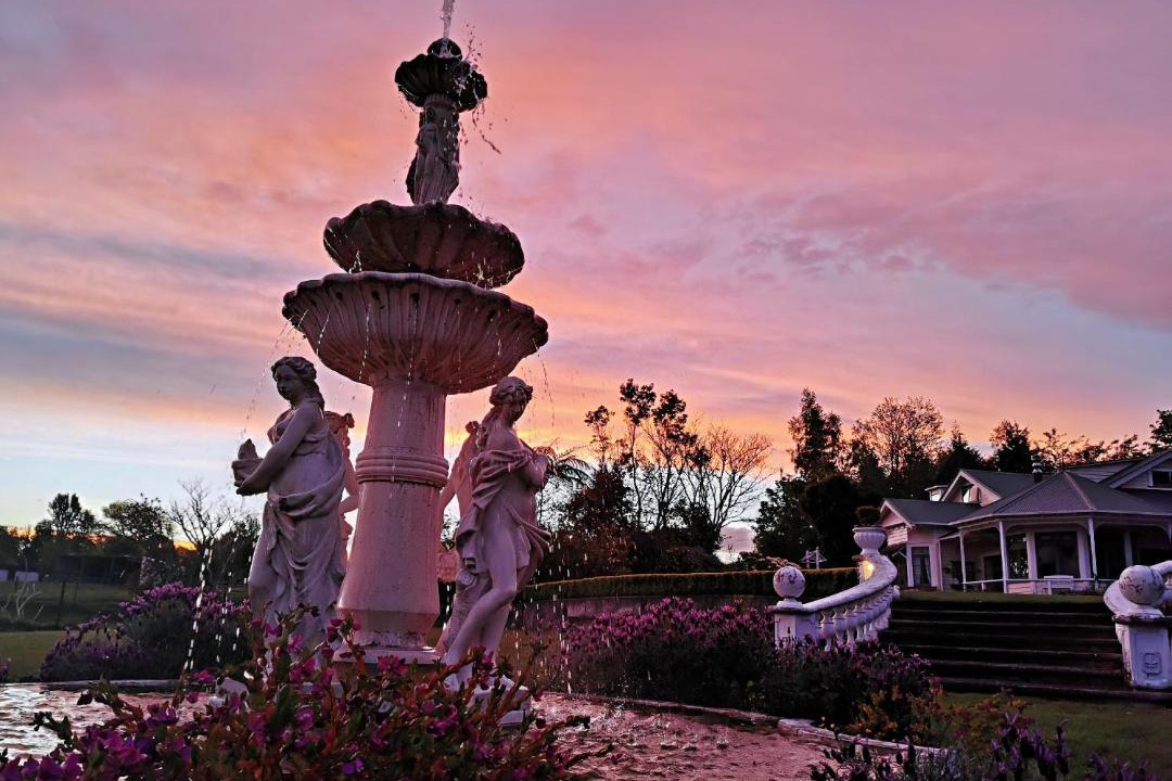 Photo of Others in Rotorua