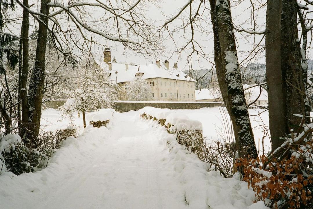 Photo of Buildings in Gruyeres