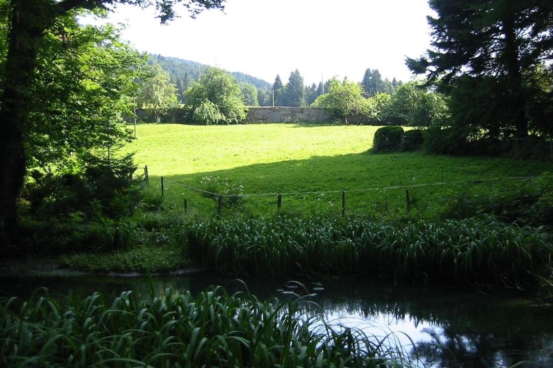 Photo of Others in Gruyeres