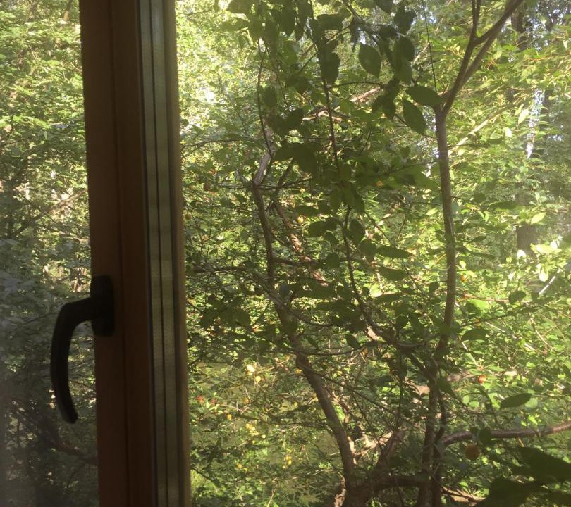 Photo of Others in Zvenigorod