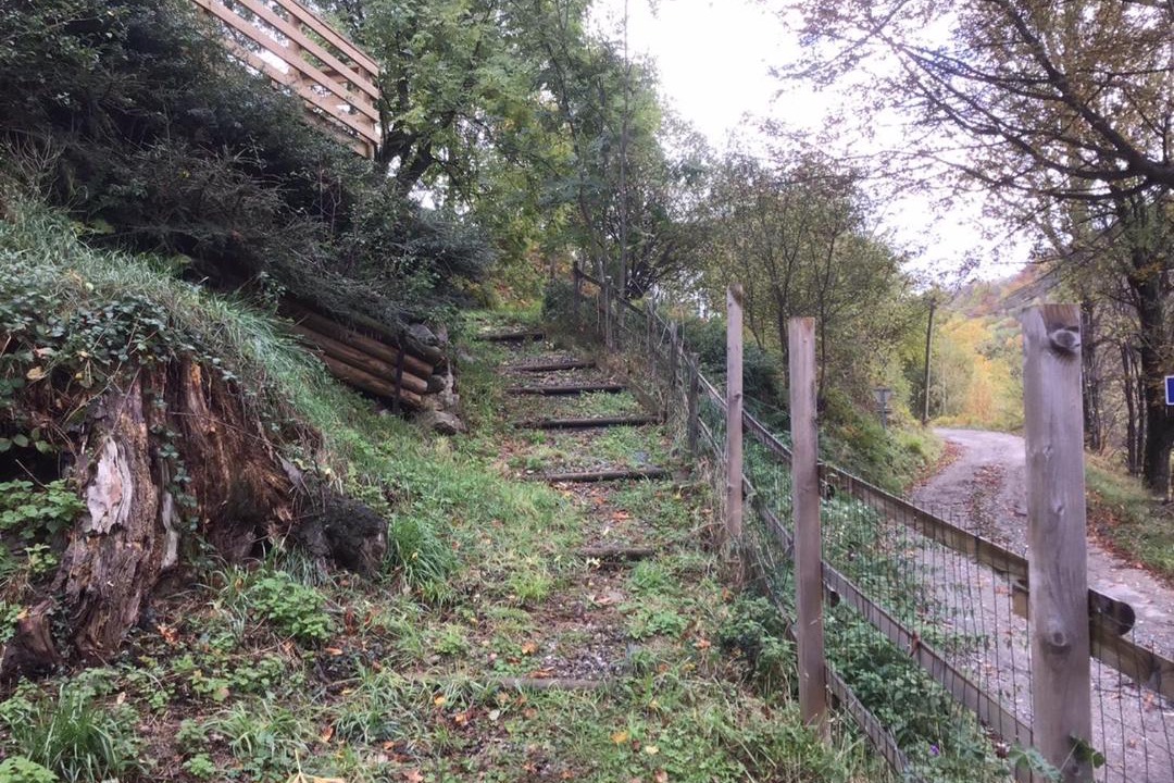 Photo of Others in Prats-de-Mollo-la-Preste