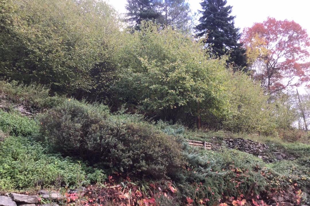 Photo of Others in Prats-de-Mollo-la-Preste