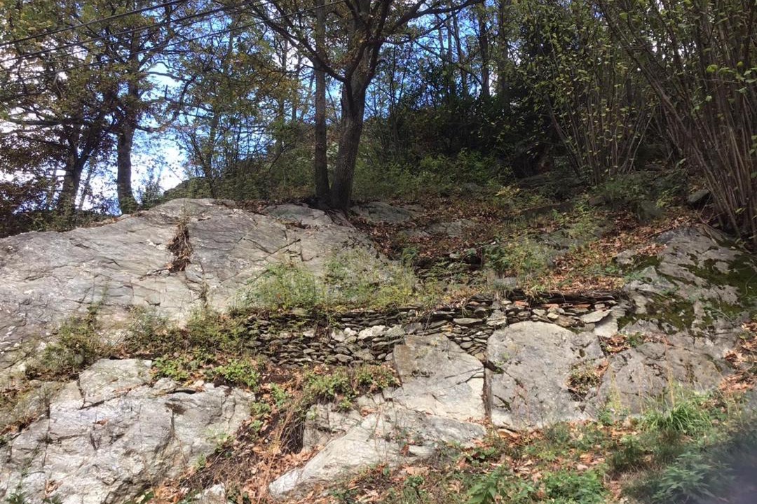 Photo of Others in Prats-de-Mollo-la-Preste