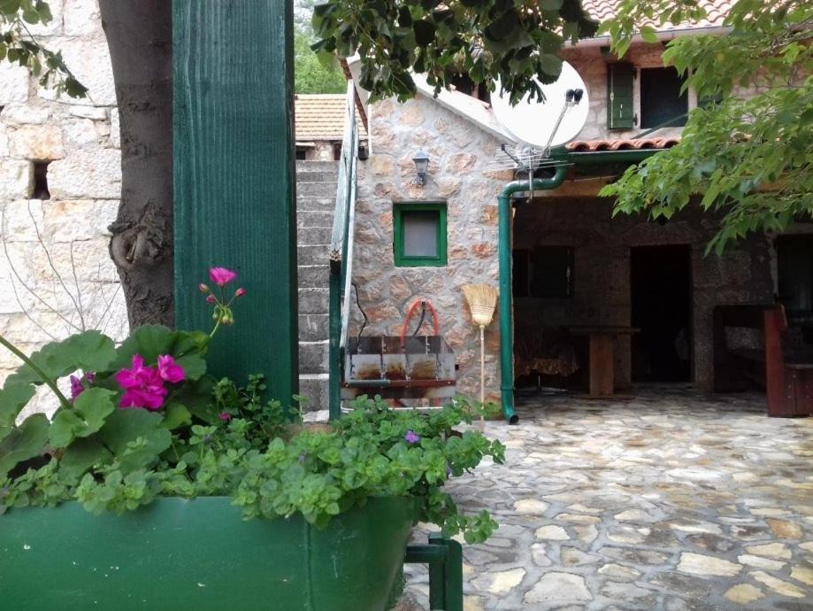 Photo of Others in Starigrad