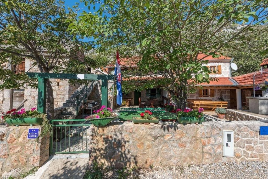 Photo of Others in Starigrad